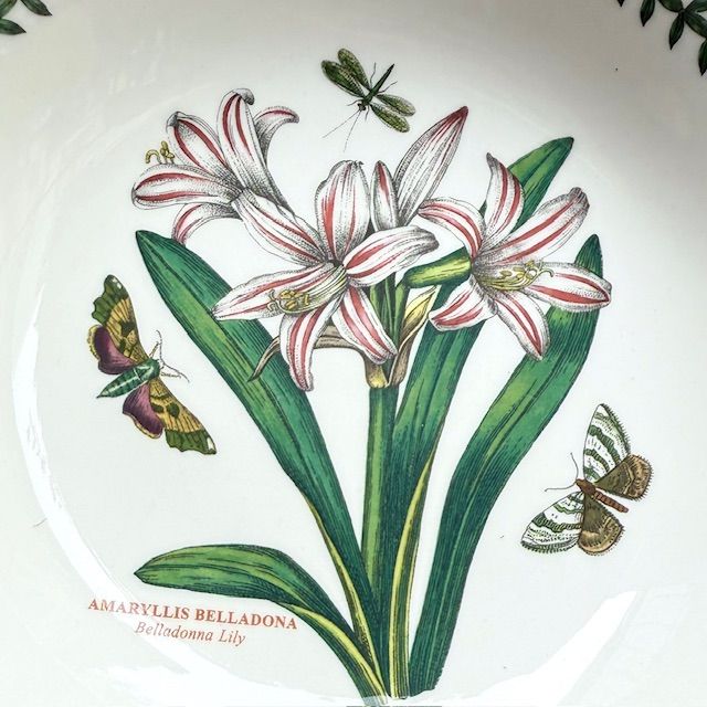 Тарелка глубокая Portmeirion Botanic Garden Amaryllis 22 см Портмерион Англия  