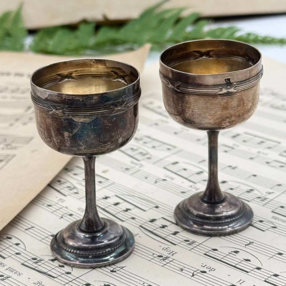 Рюмка Муха 25 мл мельхиор Франция 