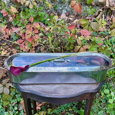 Жаровня для запекания поширования рыбы 68 см сталь