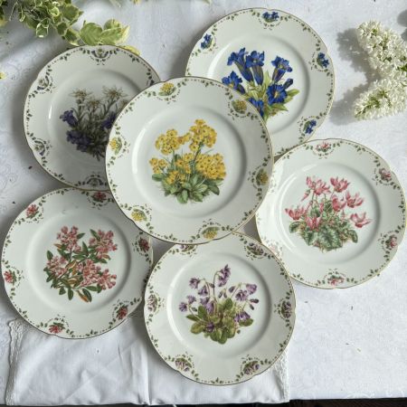 Тарелка Franklin Porcelain Stengelloser Enzian 20 см фарфор Германия