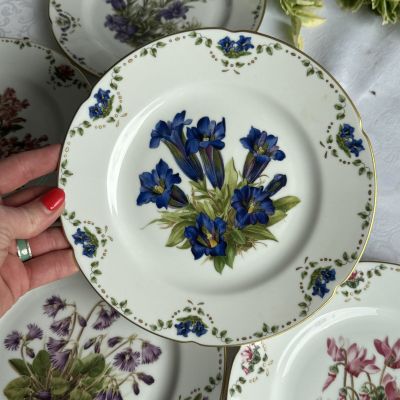 Тарелка Franklin Porcelain Альпийские цветы Stengelloser Enzian 20 см фарфор Германия