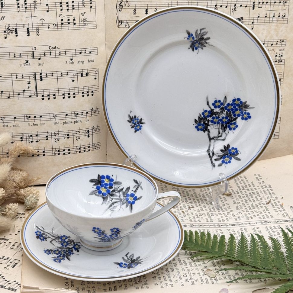 Чайное трио Reichenbach 200 мл фарфор Германия