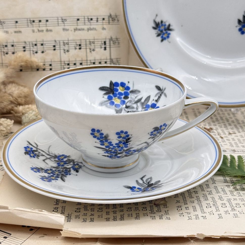 Чайное трио Reichenbach 200 мл фарфор Германия