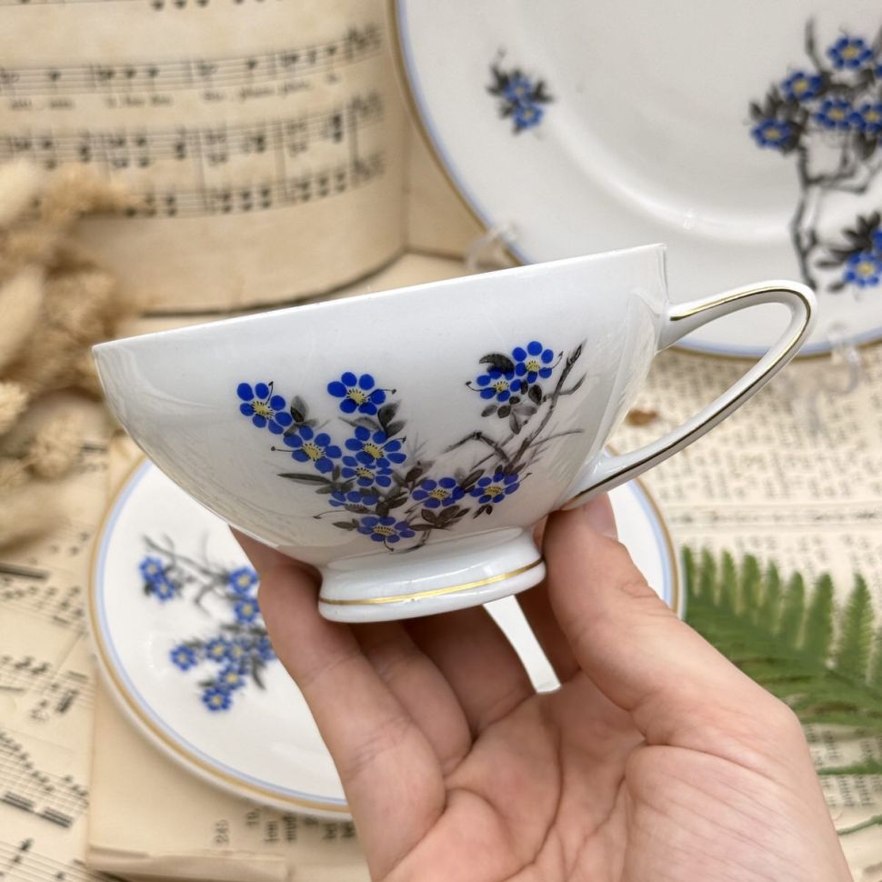 Чайное трио Reichenbach 200 мл фарфор Германия