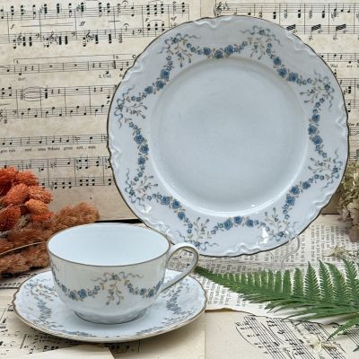 Чайное трио Hutschenreuther Fontainebleau 200 мл Германия 