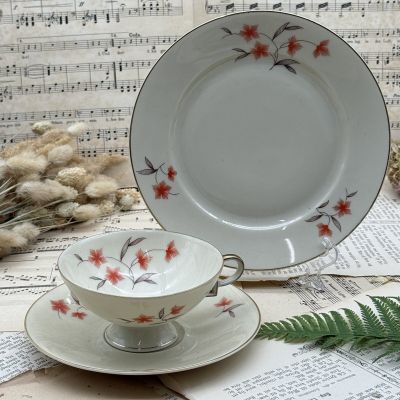 Чайное трио Schumann Arzberg 170 мл Бавария