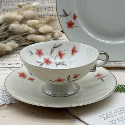 Чайное трио Schumann Arzberg 170 мл Бавария