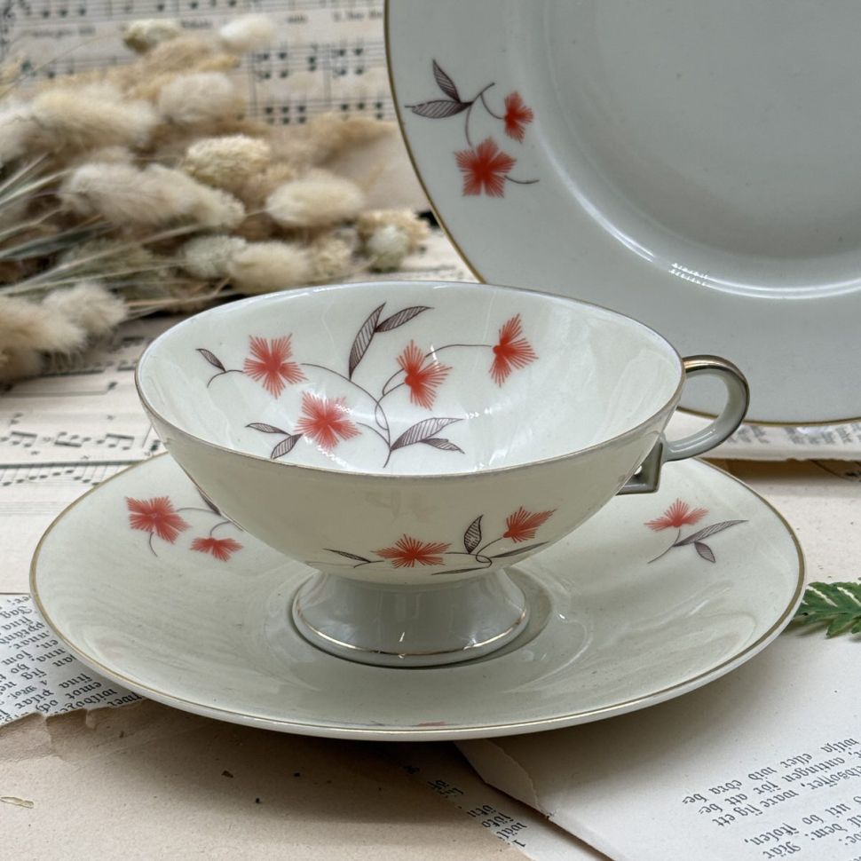 Чайное трио Schumann Arzberg 170 мл Бавария