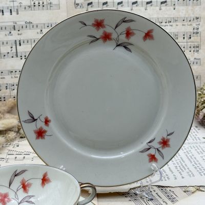 Чайное трио Schumann Arzberg 170 мл Бавария