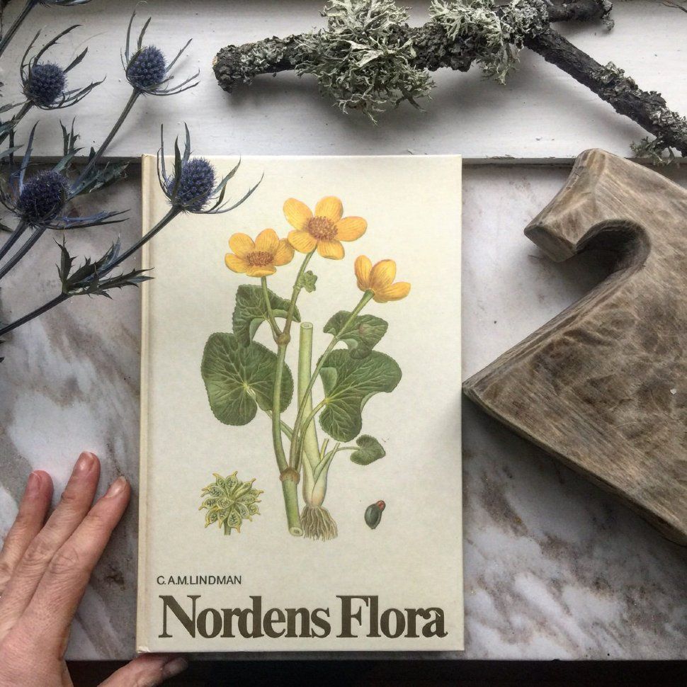 Книга Nordens Flora 4 том ботаническая энциклопедия