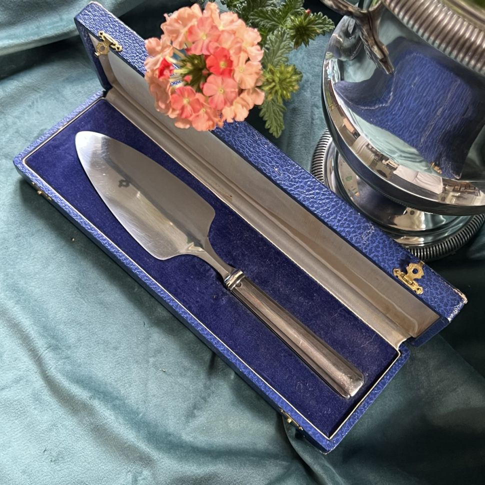 Лопатка 27 см в коробке серебро