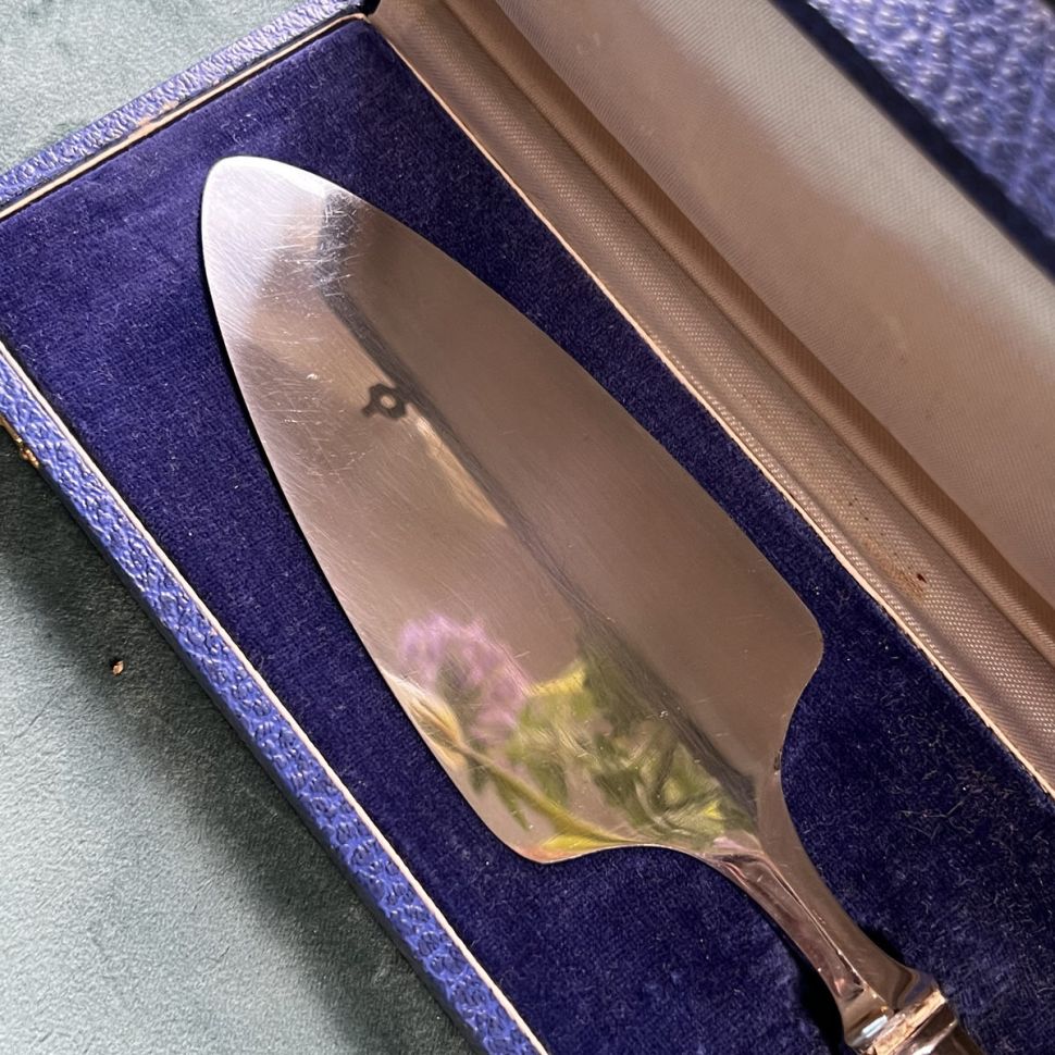 Лопатка 27 см в коробке серебро