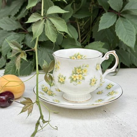 Чайная пара Queen's Bountryside Primrose 220 мл Англия  