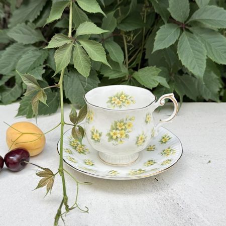 Чайная пара Queen's Bountryside Primrose 220 мл Англия  