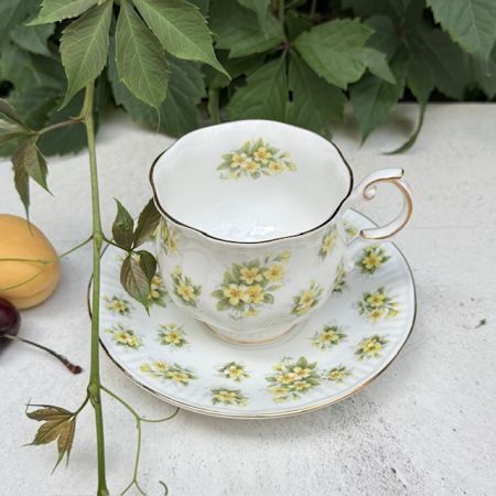 Чайная пара Queen's Bountryside Primrose 220 мл Англия  