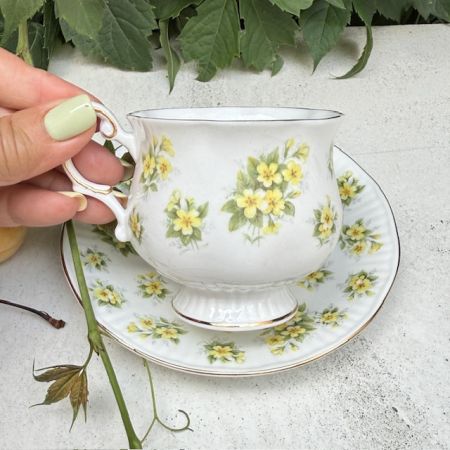 Чайная пара Queen's Bountryside Primrose 220 мл Англия  