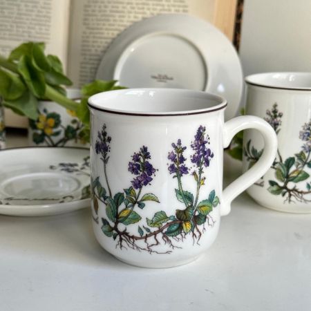Кружка Botanica ВиллеройБох 300 мл Германия