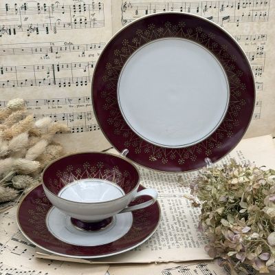 Чайное трио Von Schierholz 200 мл Германия