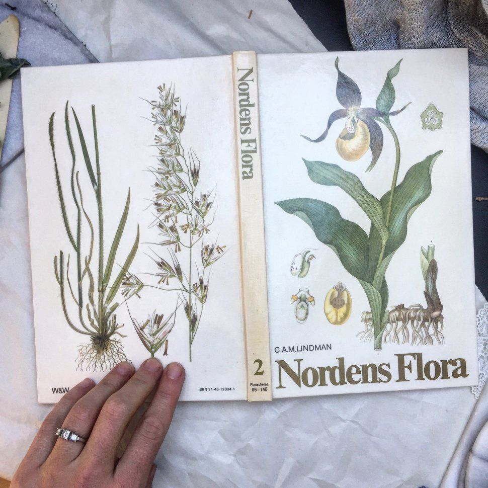 Книга Nordens Flora 2 том ботаническая энциклопедия